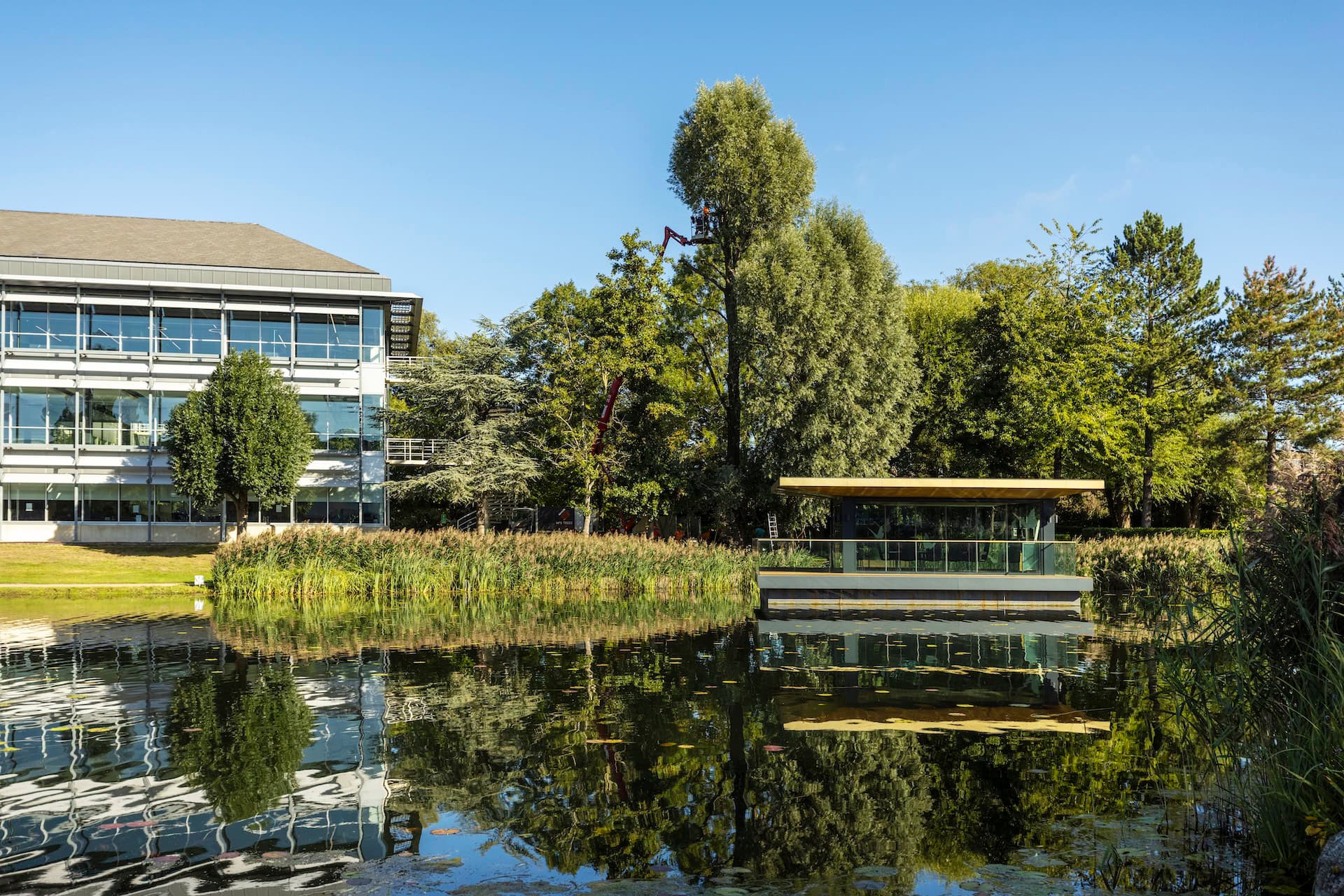 The lake and offices at Arlington Park